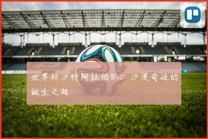 世界杯沙特阿拉伯队：沙漠奇迹的诞生之路