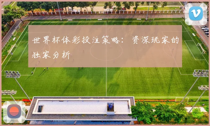 世界杯体彩投注策略:资深玩家的独家分析