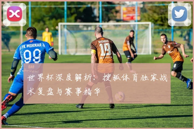 世界杯深度解析：搜狐体育独家战术复盘与赛事精华