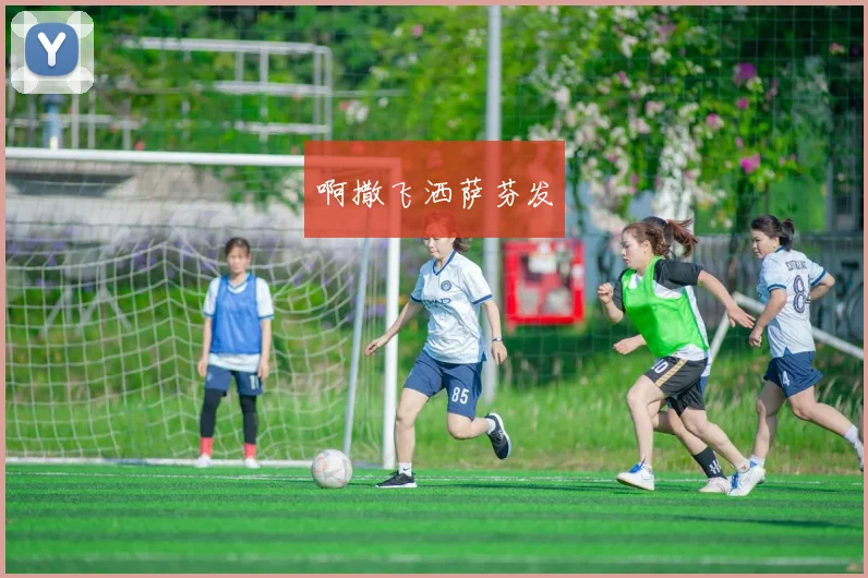 世界杯法国队会让球吗?深度解析夺冠热门战术策略