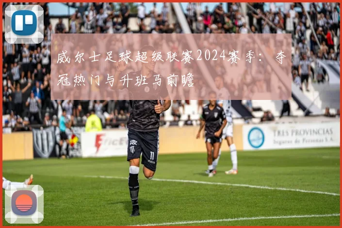 威尔士足球超级联赛2024赛季：夺冠热门与升班马前瞻