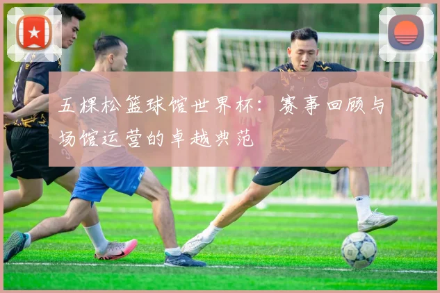 五棵松篮球馆世界杯：赛事回顾与场馆运营的卓越典范