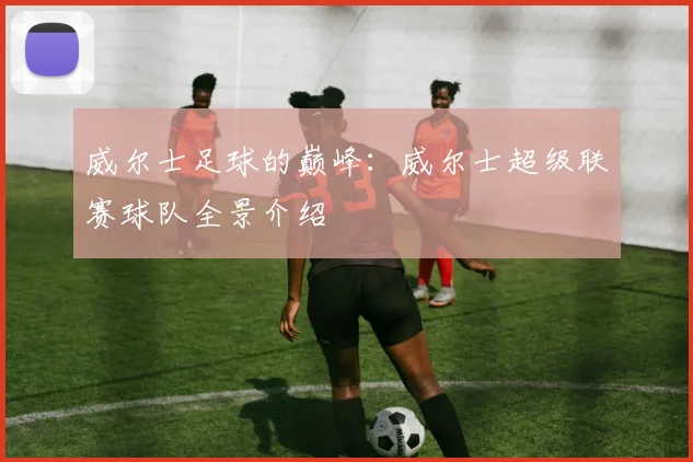 威尔士足球的巅峰：威尔士超级联赛球队全景介绍